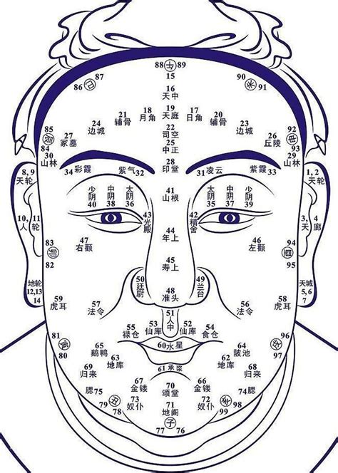 鼻子面相图解|史上最全的面相五官“算命”图文详解（精品收藏）